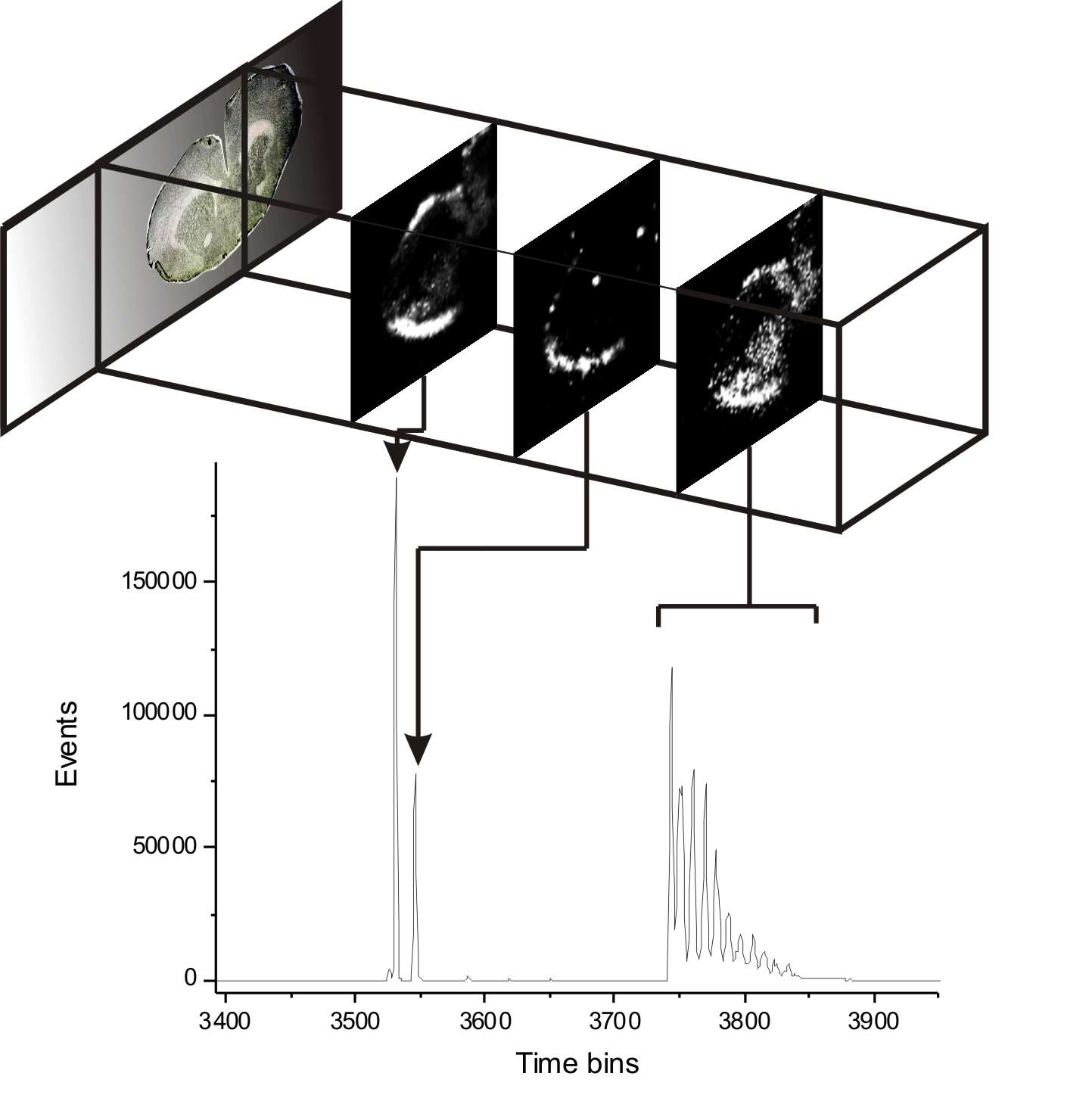Chemical imaging of a mouse brain